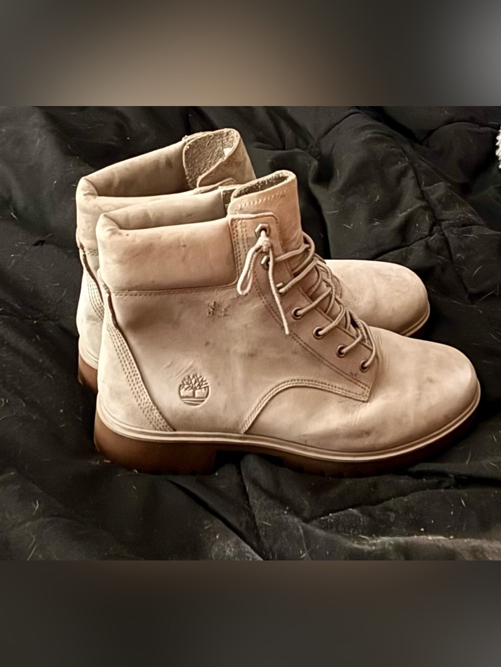 Timberland Women’s Jayne 6-inch waterproof boots in light taupe sz. 8.5